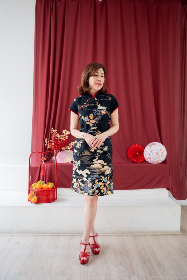 20260112-DSC02266 Kaita Qibao Dress